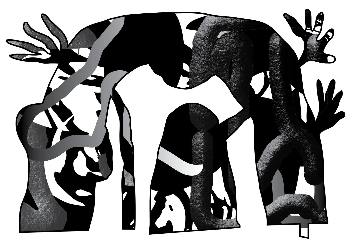 The Ayahuasca Letter